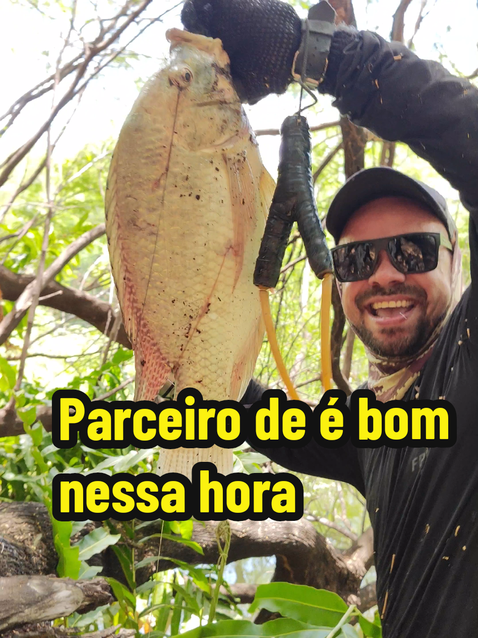 @Joildo Araujo