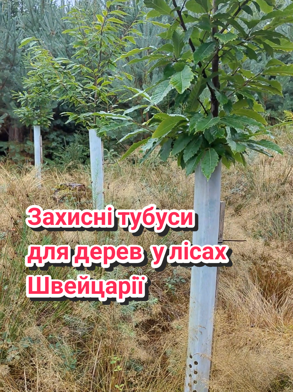 @Юрій Сірук
