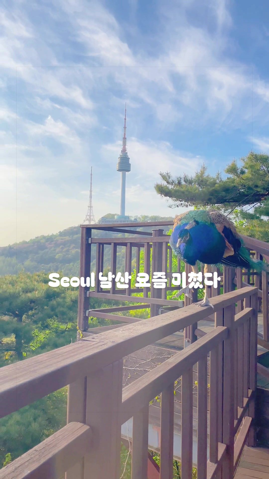 @삼촌