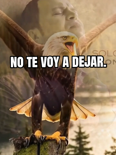 @Herminia González.