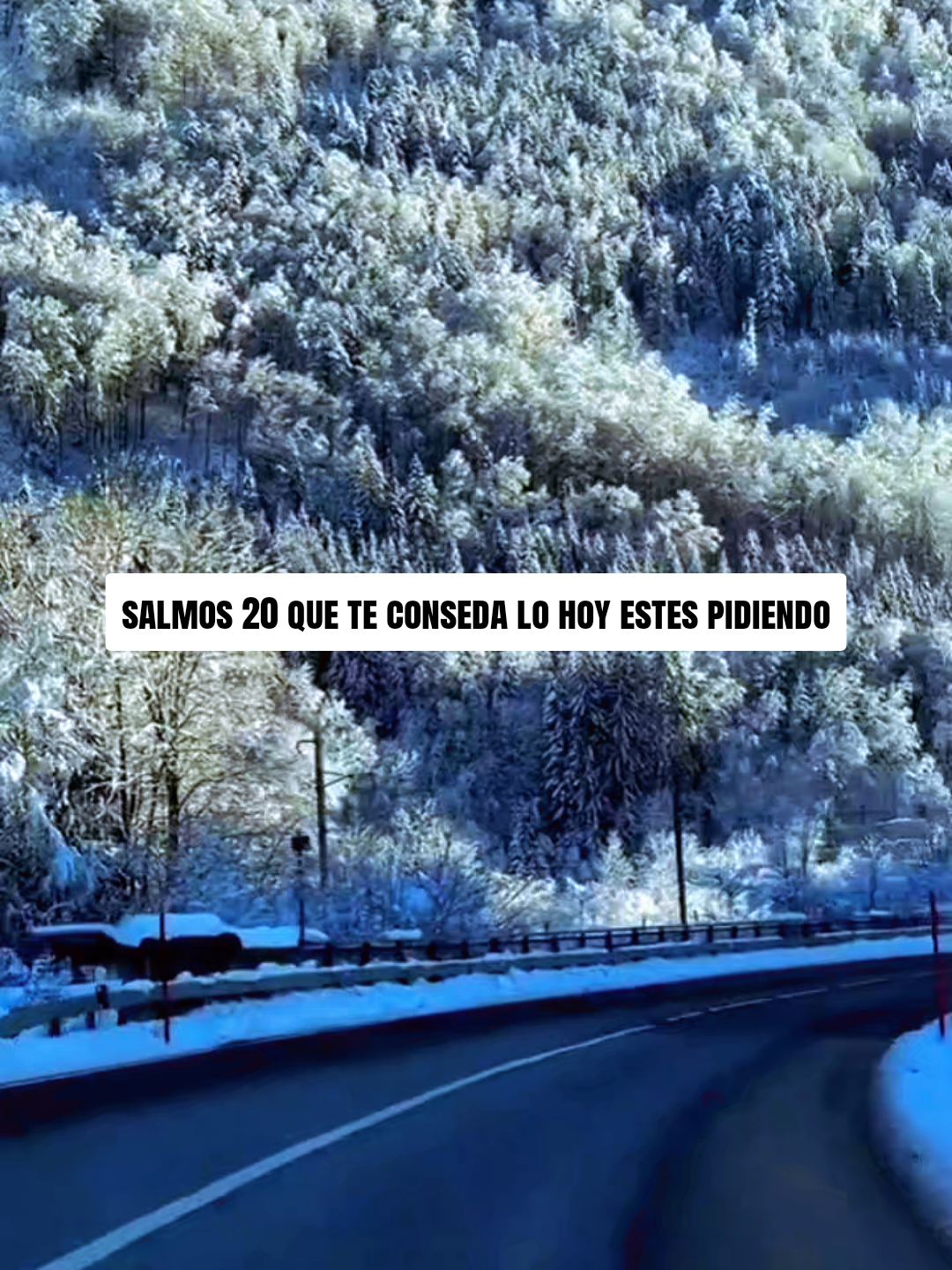 @@Teo Rodriguez