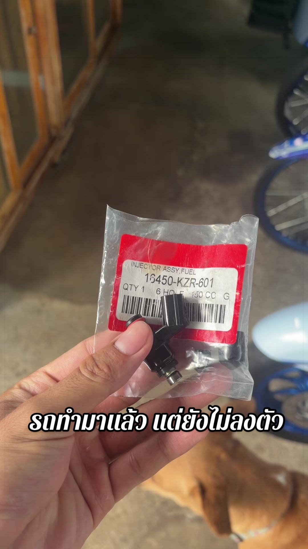@นายน้อยเรสซิ่ง.🐳