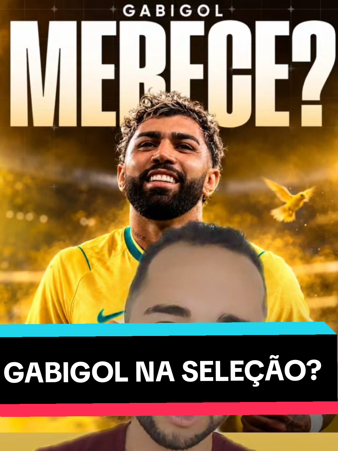 @analistaleigo