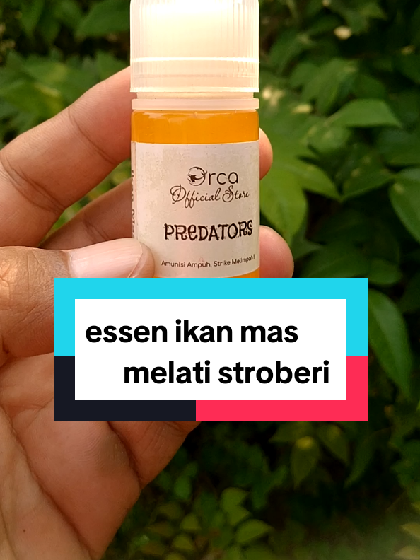 @Berkah FS