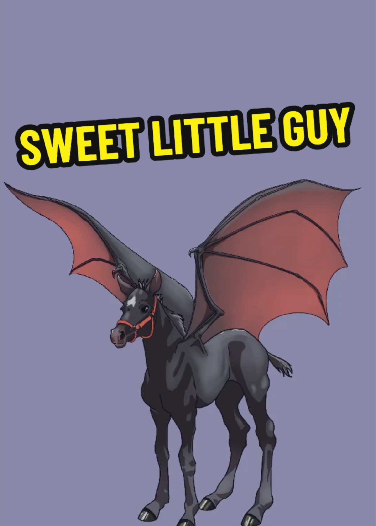 @Northerlyelf0