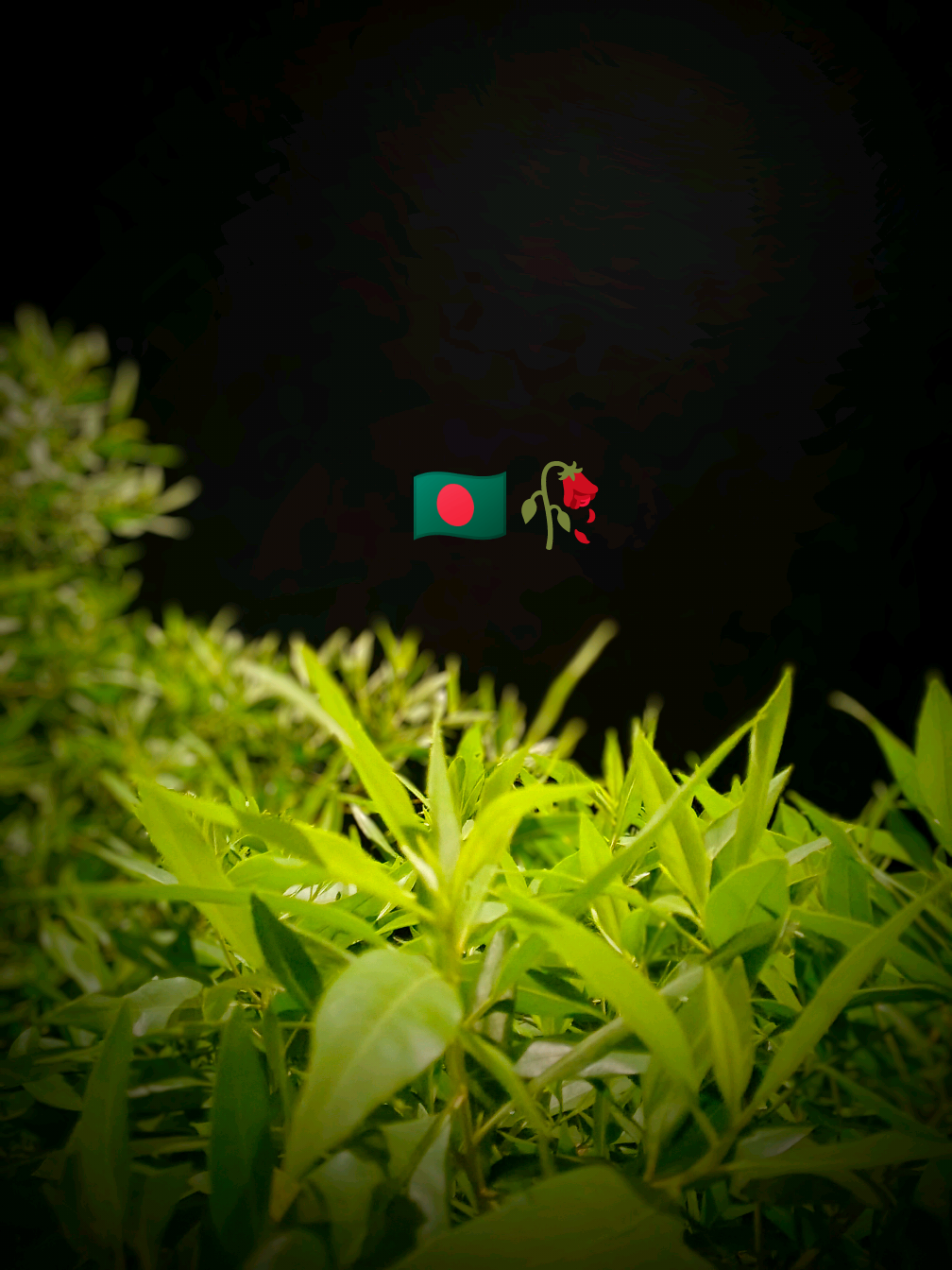 @আধারী