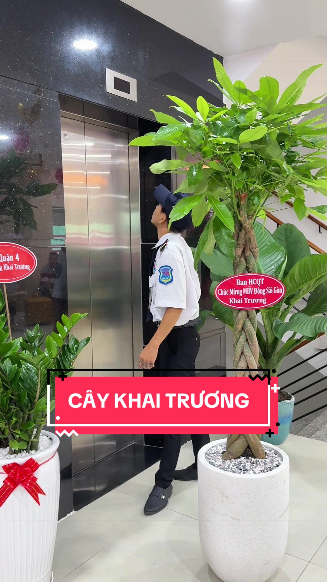 @Cây Xanh Phong Hồng