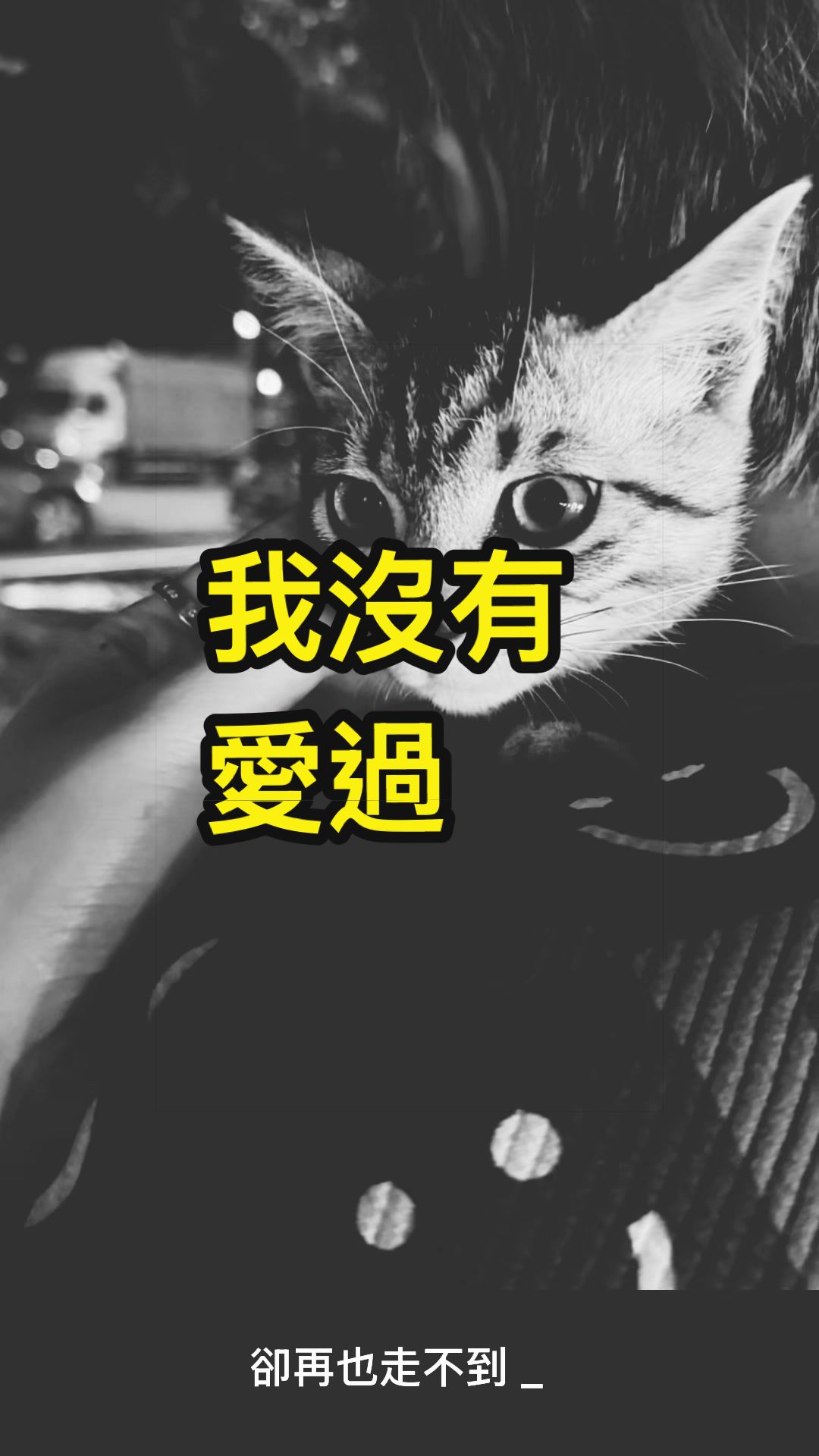 @黃錦雯Fiona