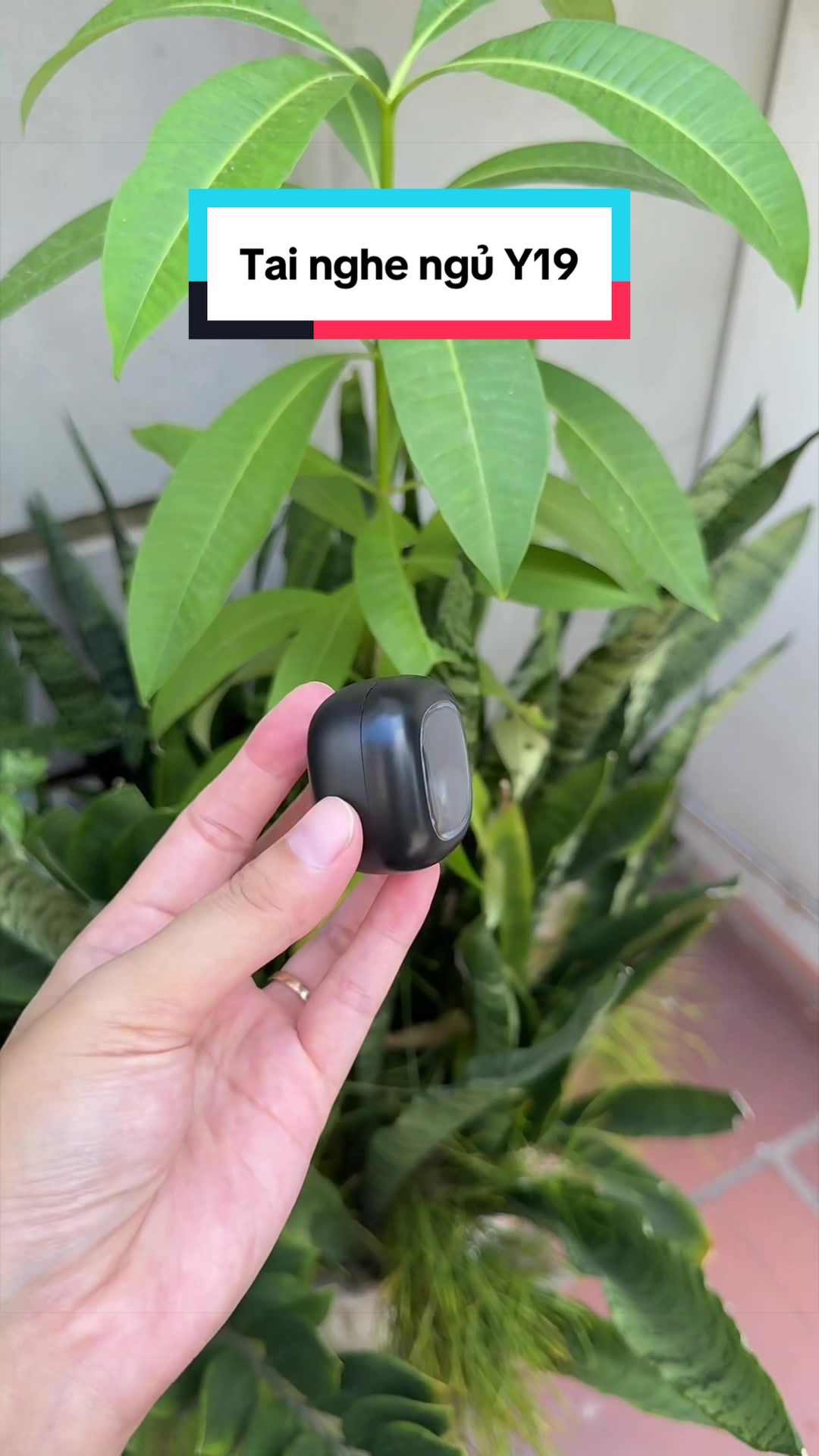 @Tuấn Bình Thường