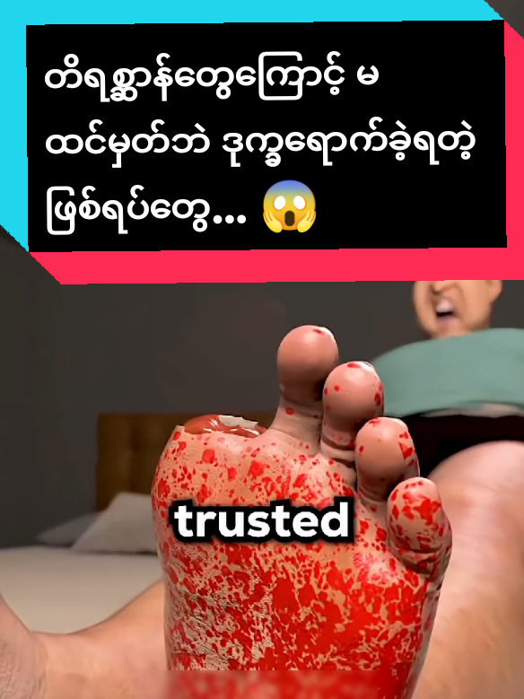@đ đđ§đŞđ đđŠđ¤đ§đŽ đž.đâ