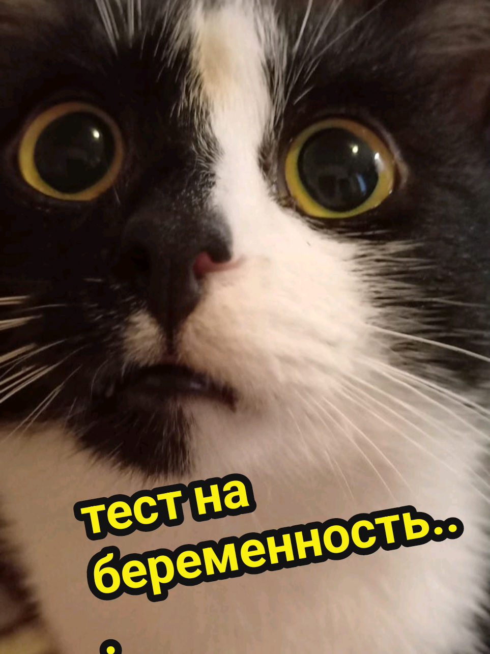 @Рыся✔️🇧🇾