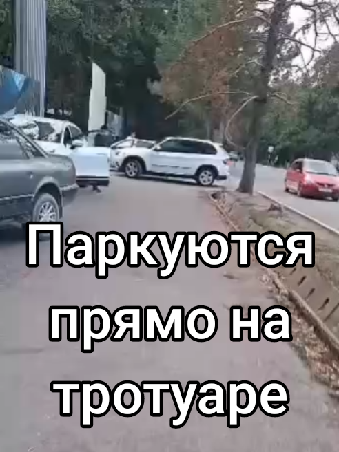 @vesti.kb