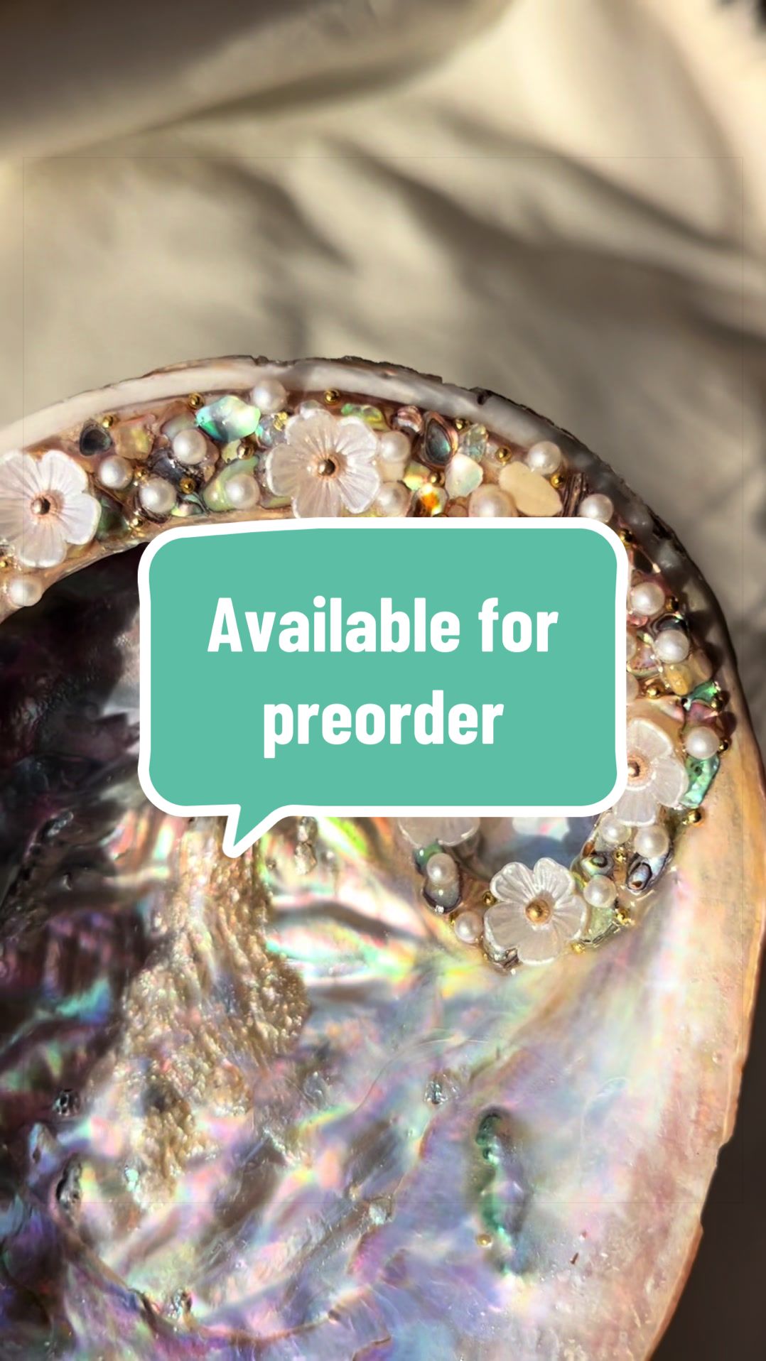 @Dusty J Designs | Shells