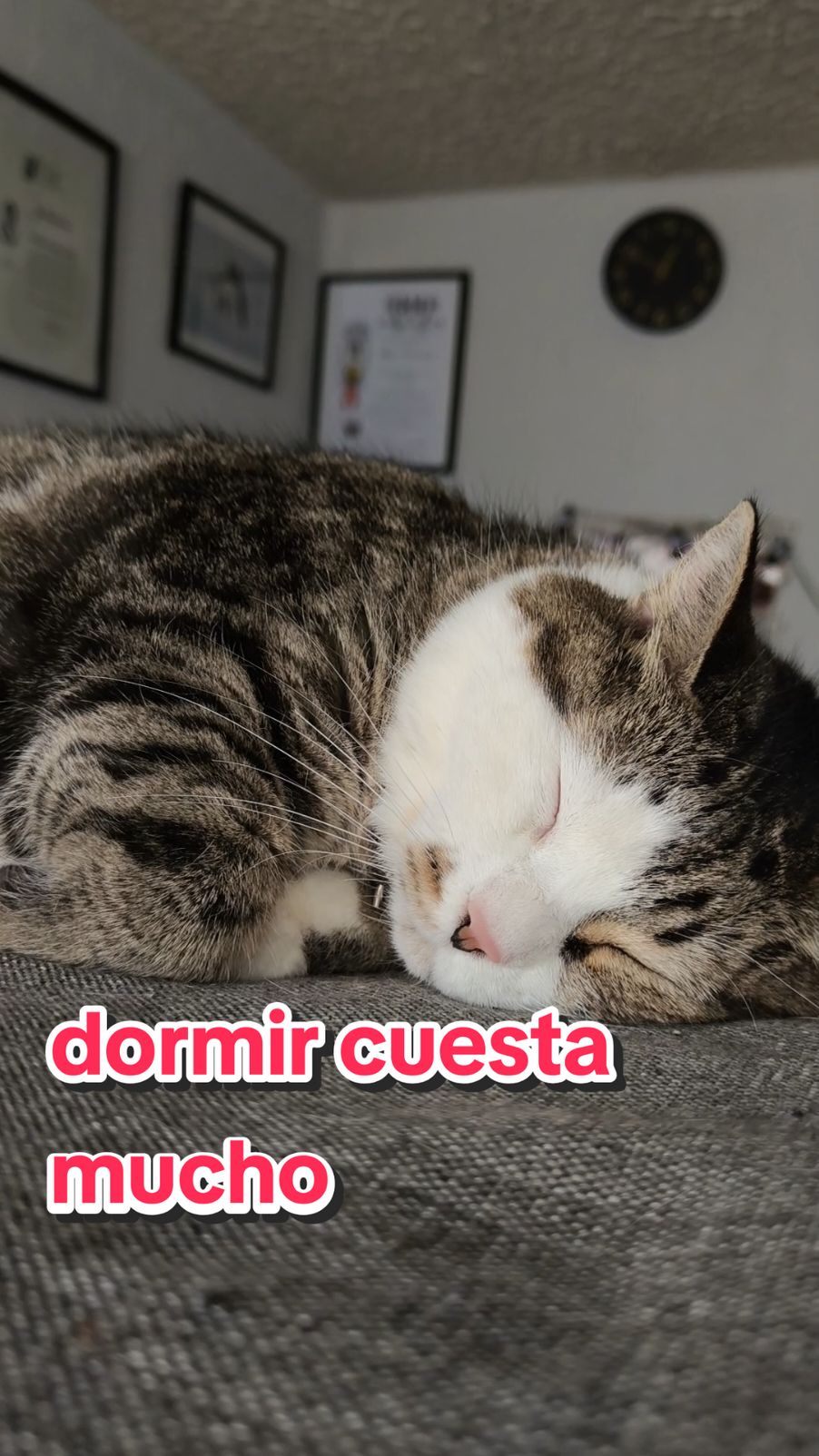 @Rayito, Jake, Ivar & Cristal