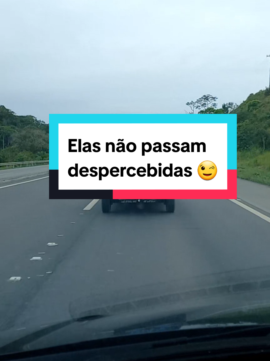 @Sócrates