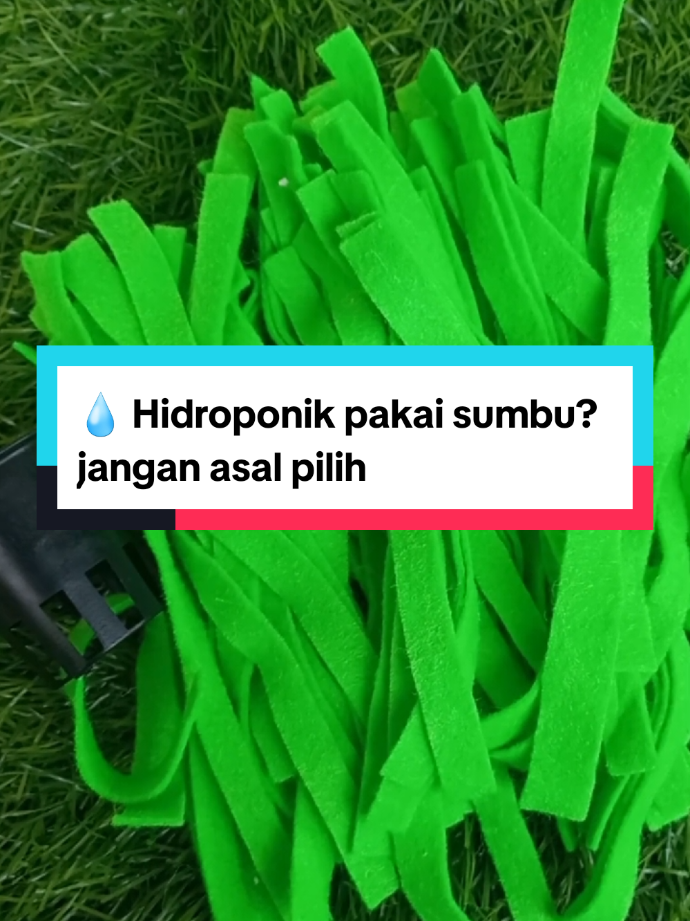 @Nuansatani TV