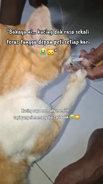 @NORIZARASHID
