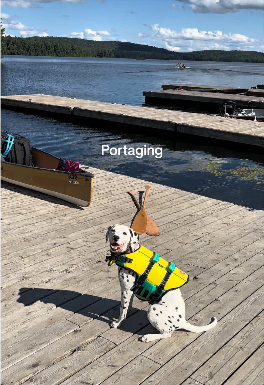 @Nevada the Dalmatian