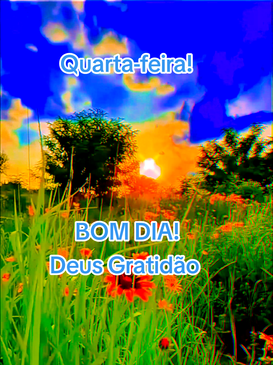@César A. A. Santos