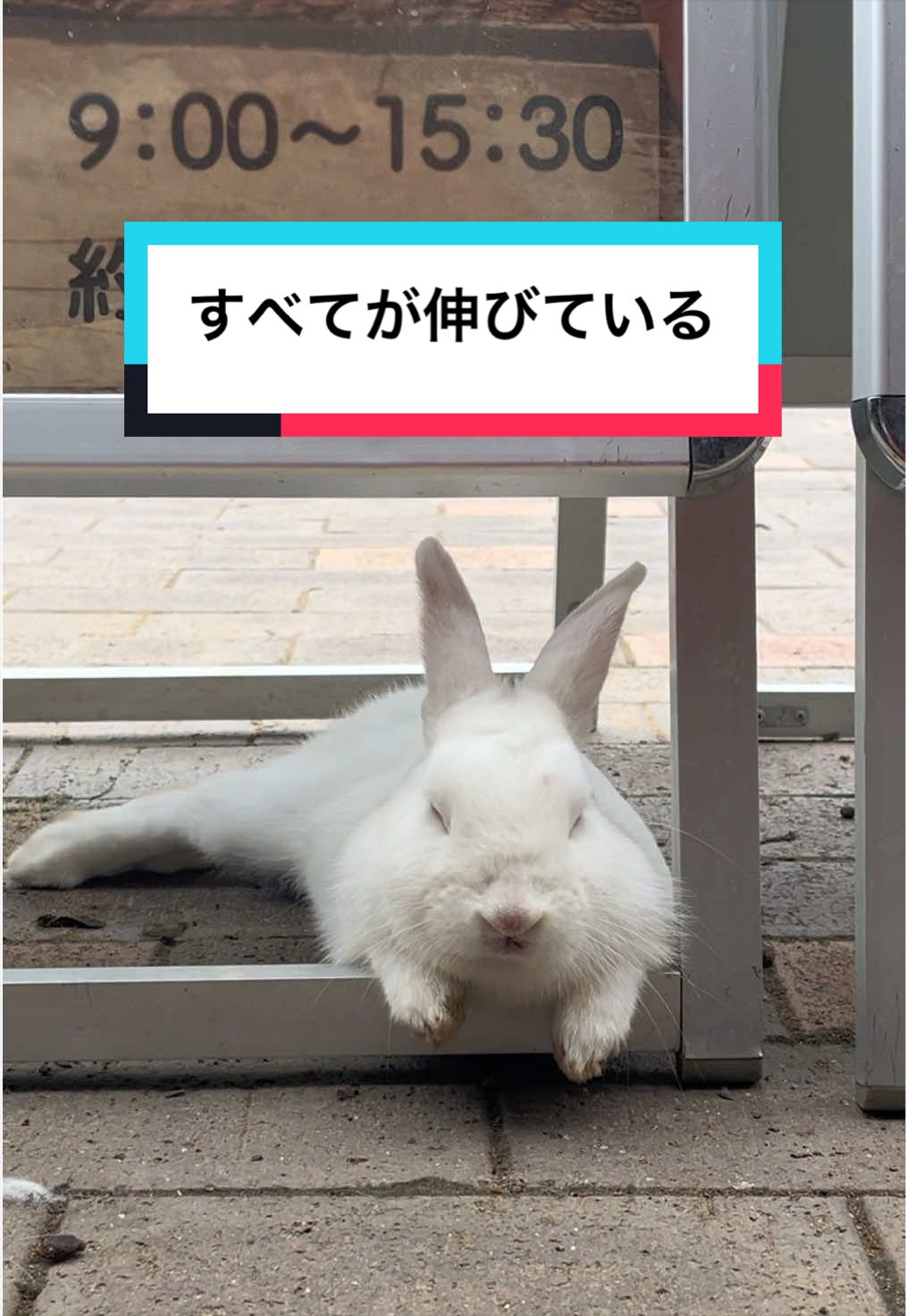 @【公式】月うさぎの里