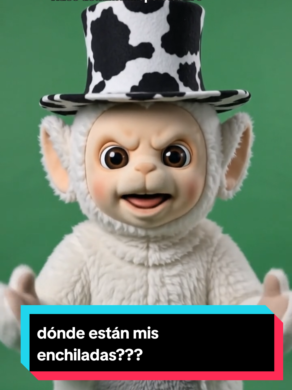 @tinky ñinky