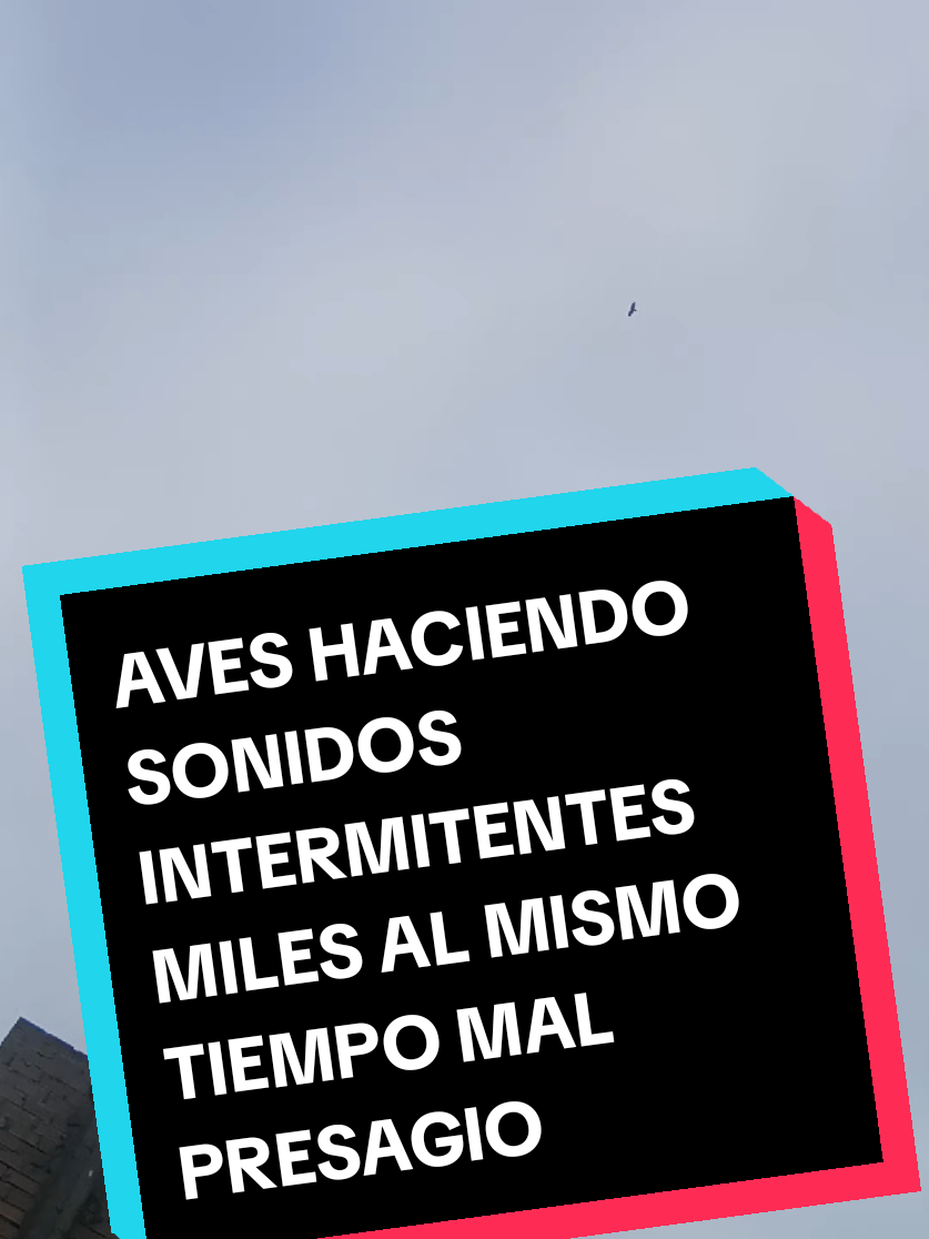 @LA VERDAD NOS HARÁ LIBRES