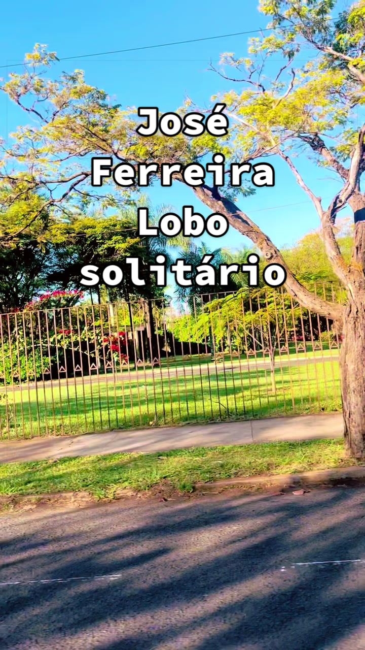 @joseferreiraferreira8