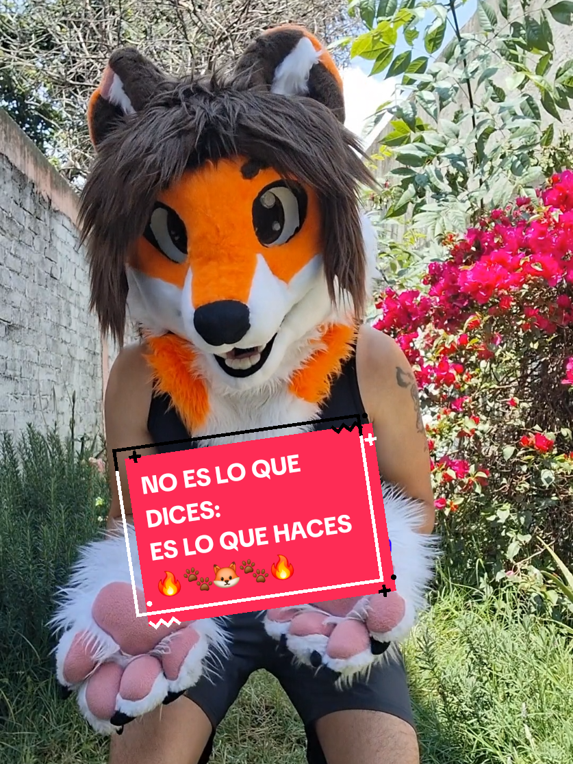 @Becobeza