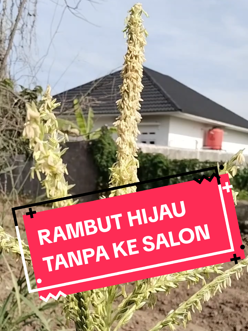 @Mr. Anas | Writing Skill