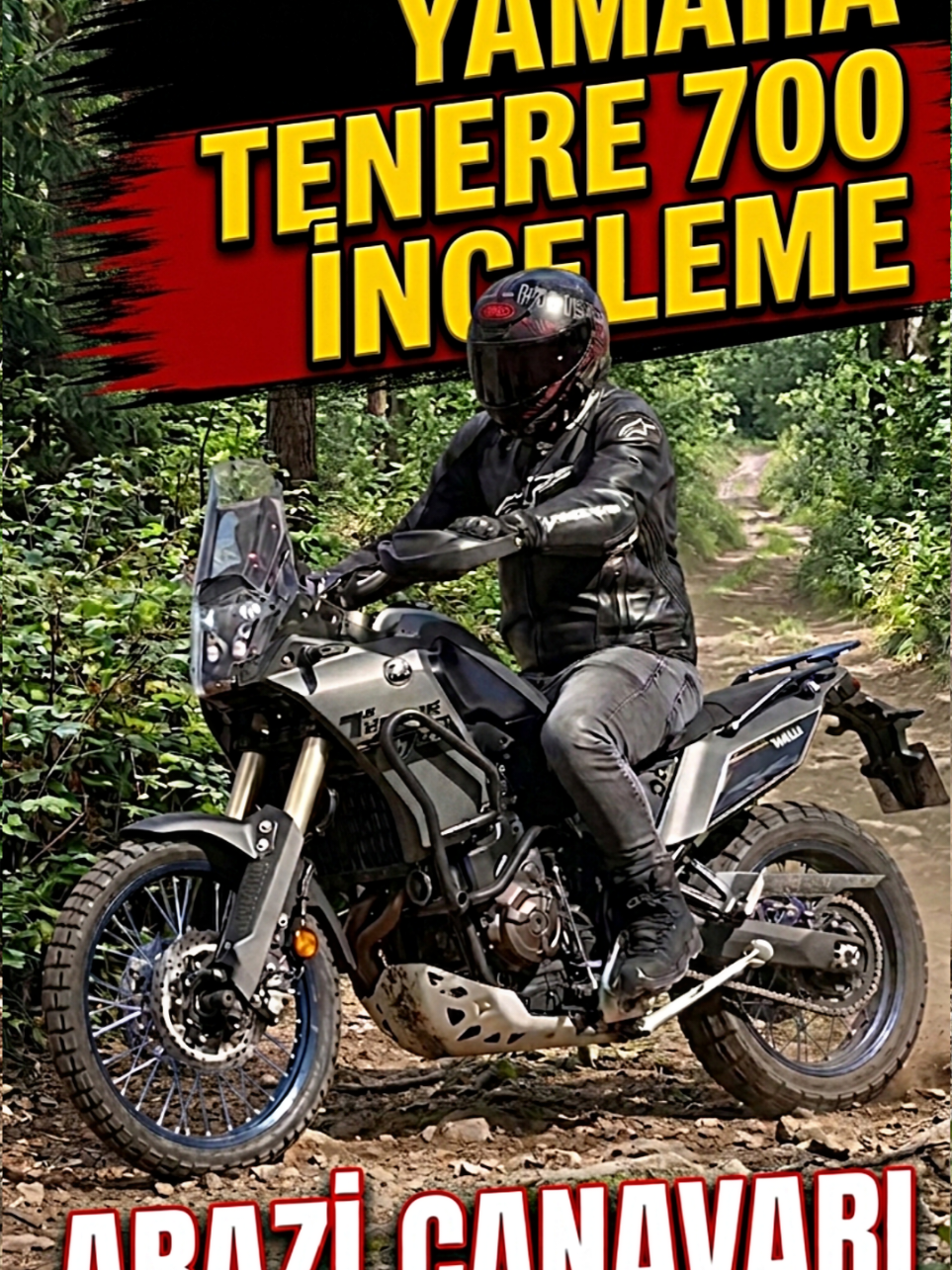 @Y&uuml;cel G&uuml;le&ccedil; (PROSOFİ)