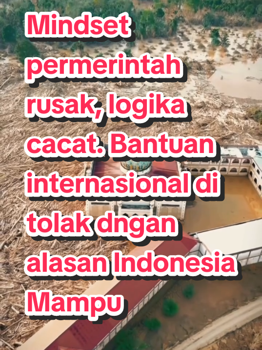 @wlxndne