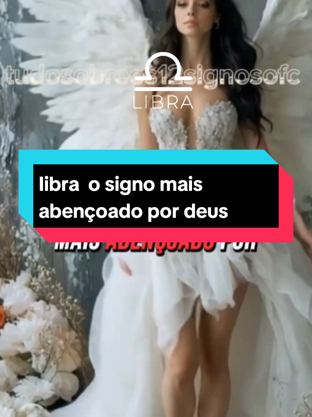 @tudosobreos12signos_virginiana