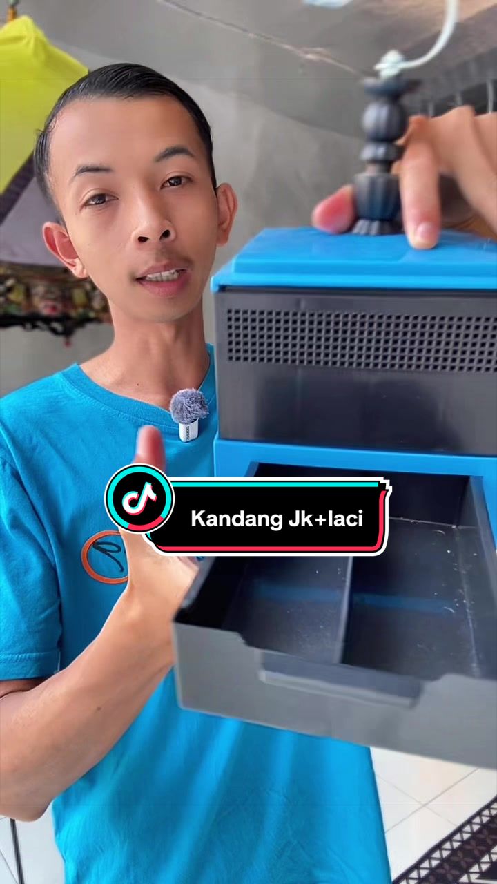 @kicau mart
