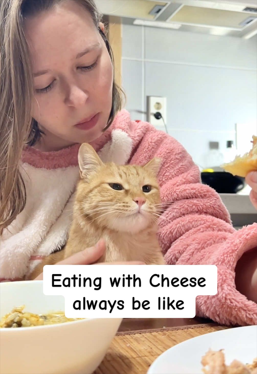 @MyStrayCheese
