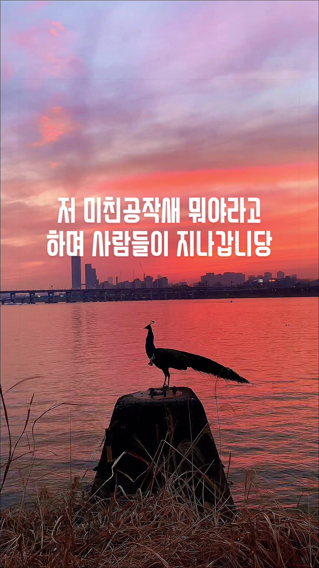 @삼촌