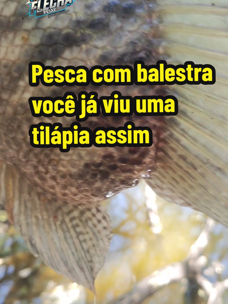 @Joildo Araujo