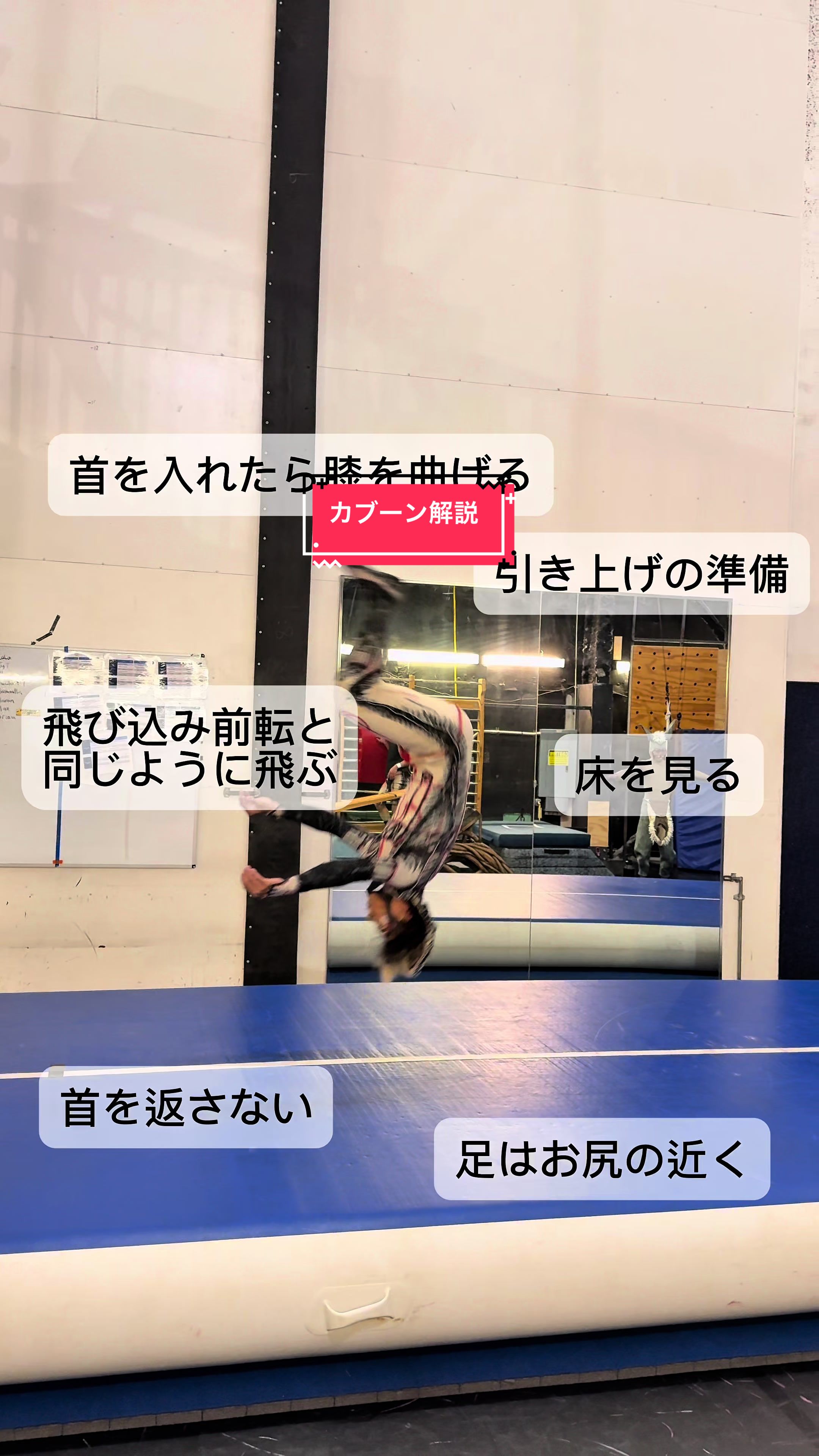 @ノロノロ