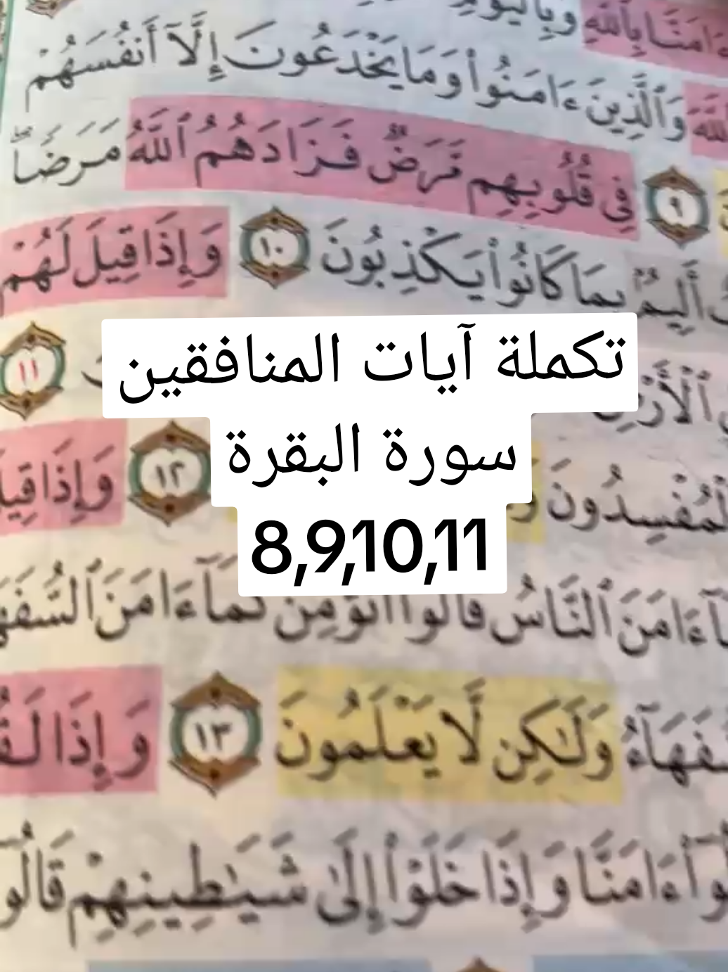 @Fadwa wawi
