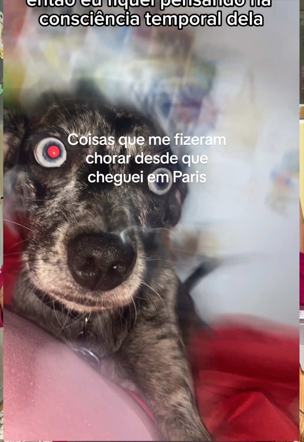 @lau