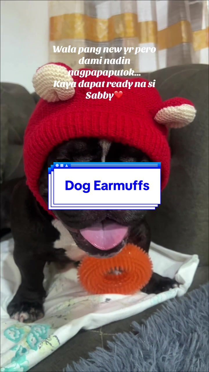 @Sabby’s Shop🧸🐕