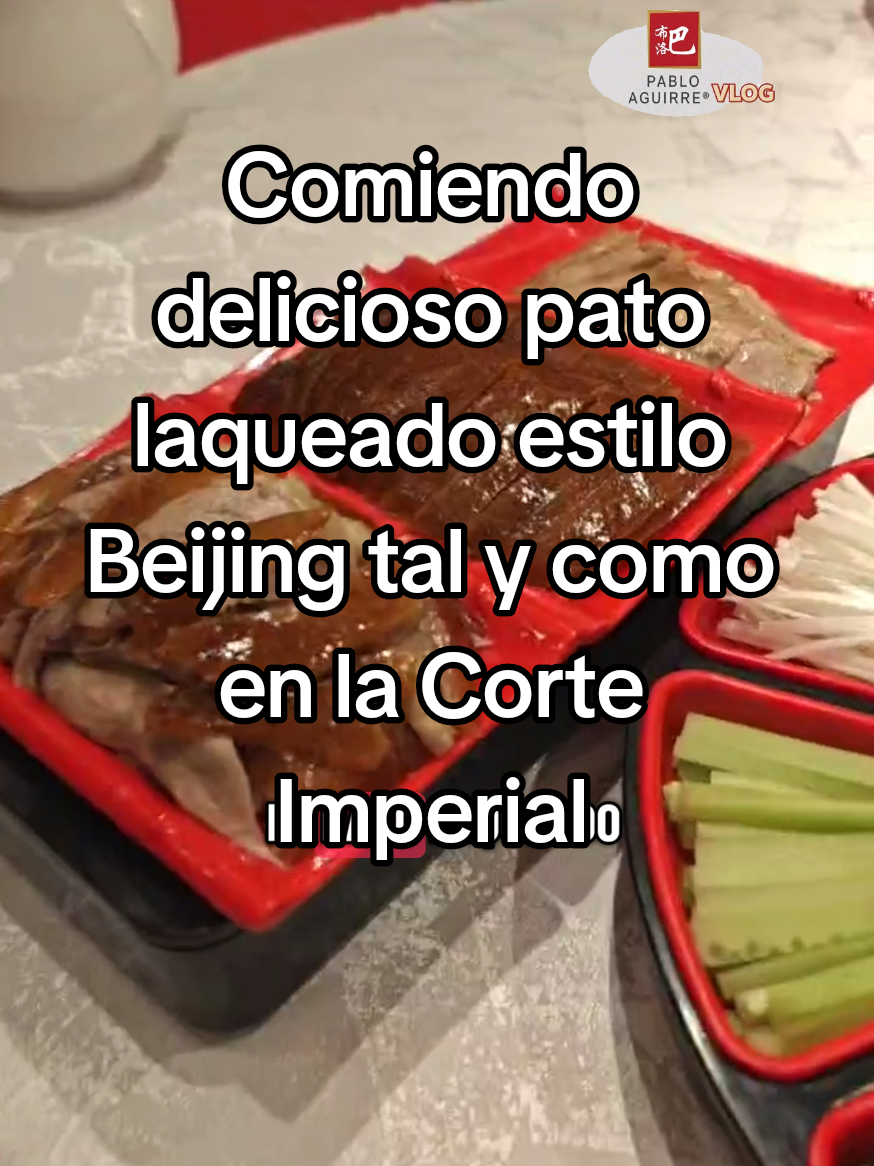 @@PabloAguirreOficial