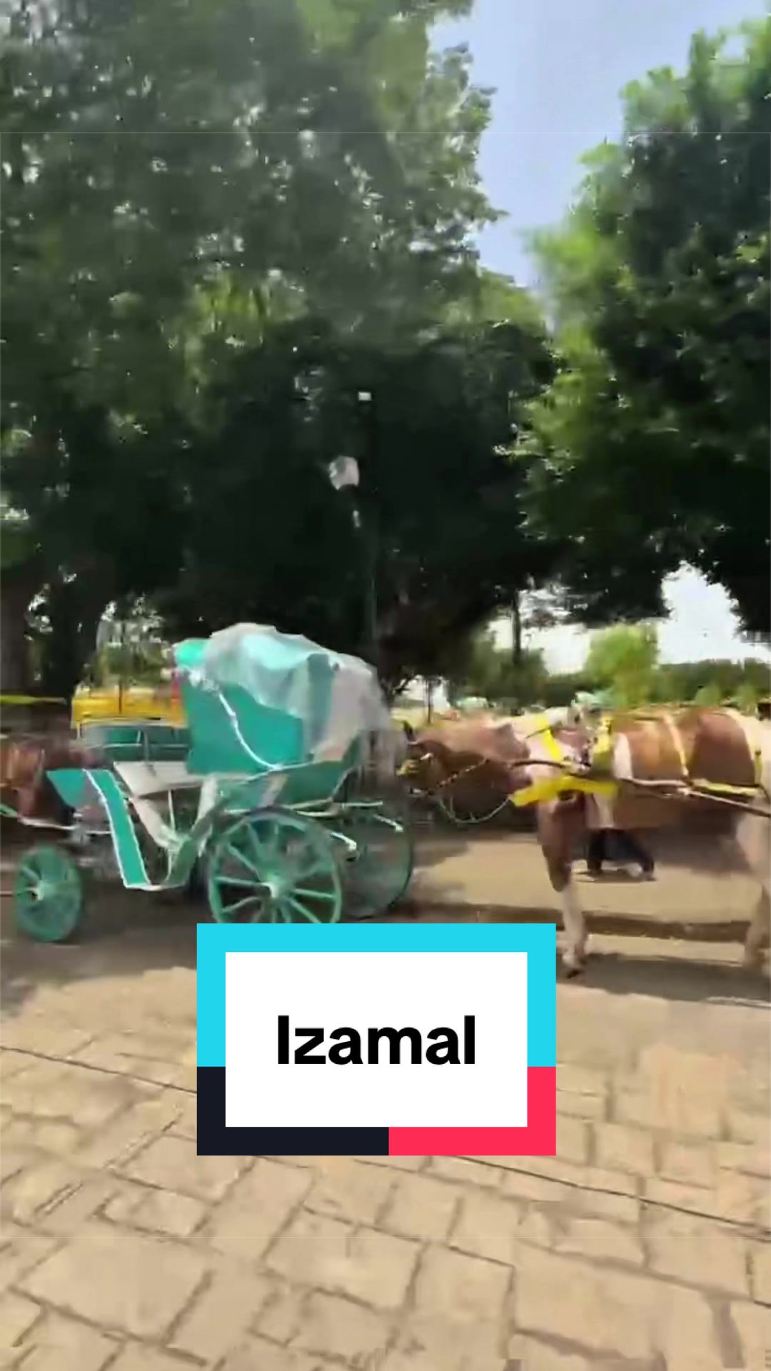 @eskpateturutaideal