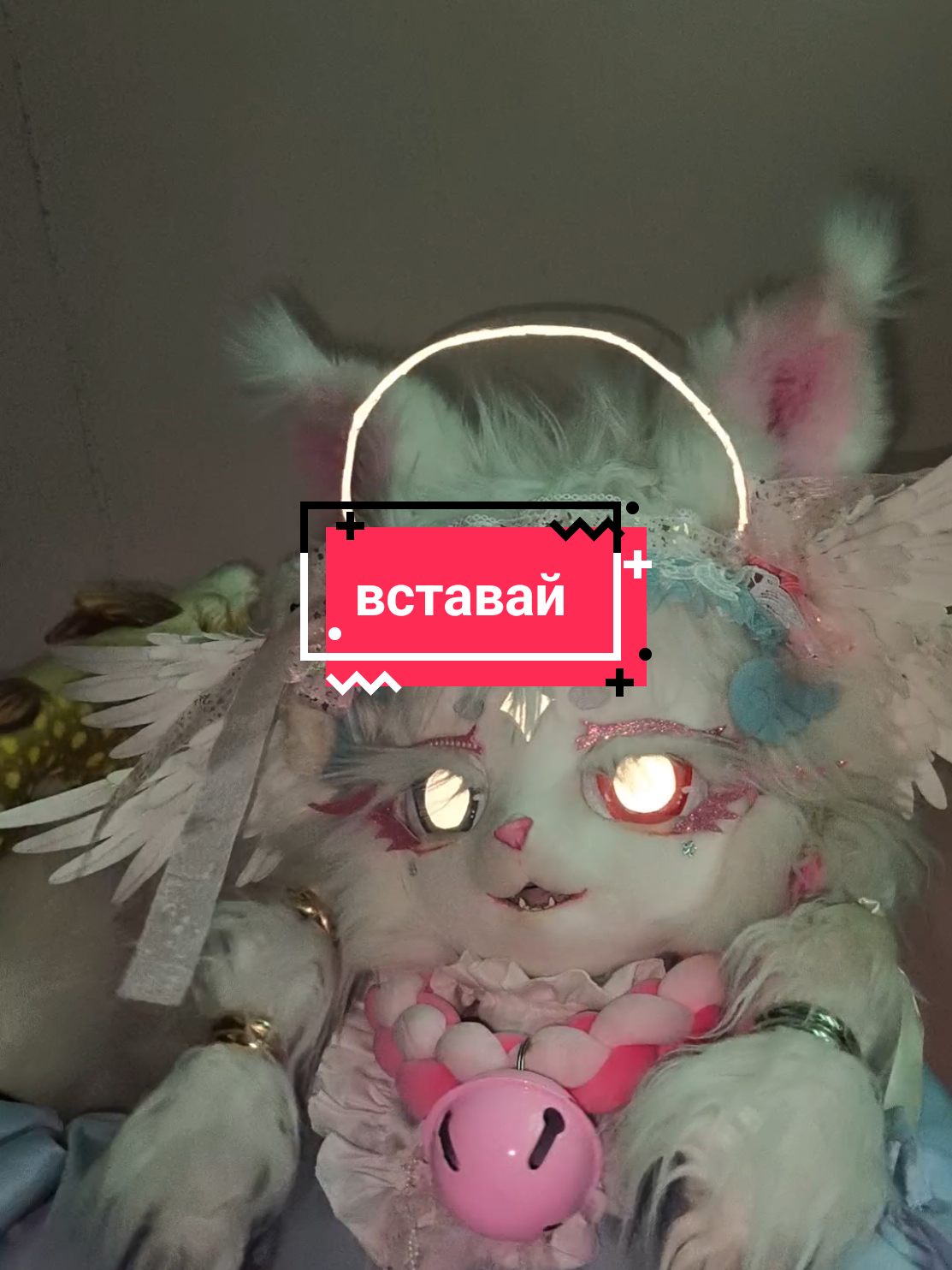 @༒༺Асія_Murrкевич༻༒ ִֶָ𓁿⋆