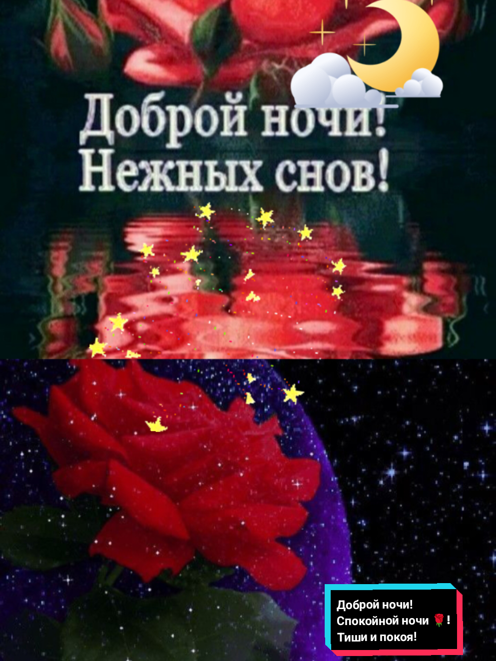 @Z.Svirgunova