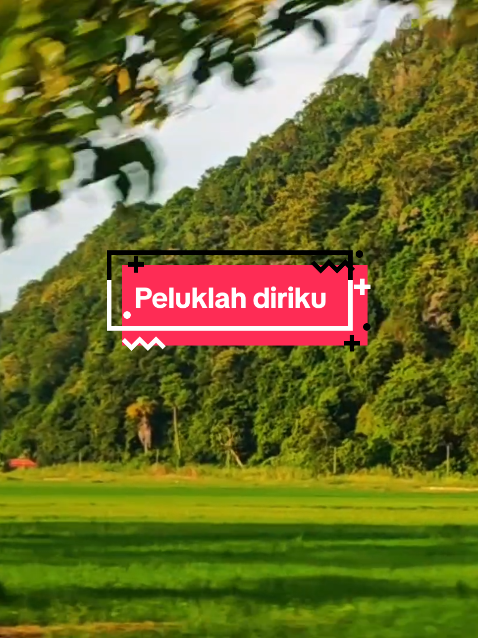 @Che Puan