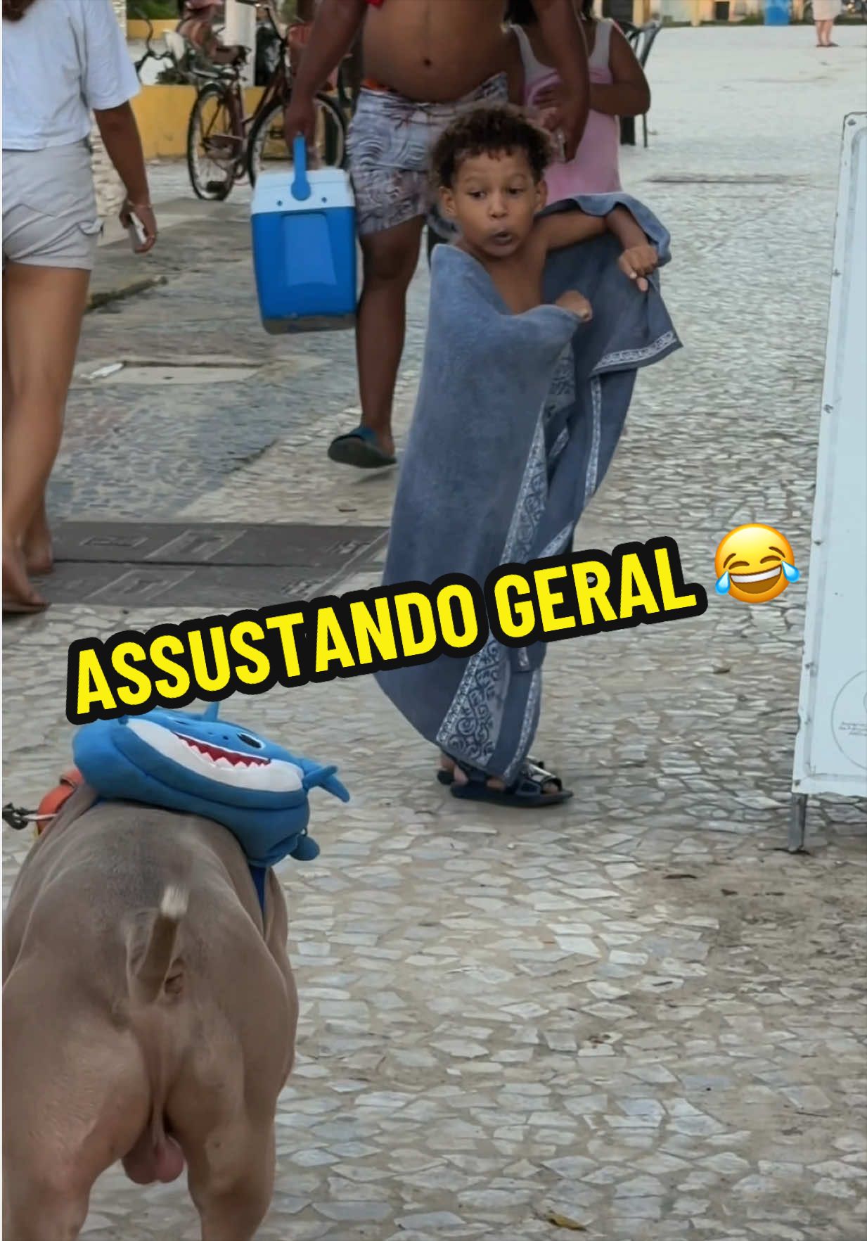 @Família Ragnar 🐶