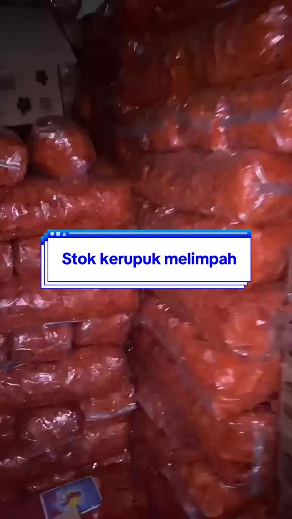 @Rumah Aneka Frozen