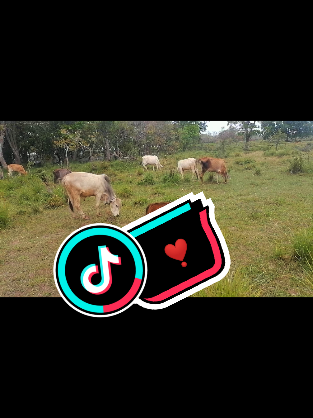 @Åkků_Çřůśh🌈🌴🇦🇺🌴