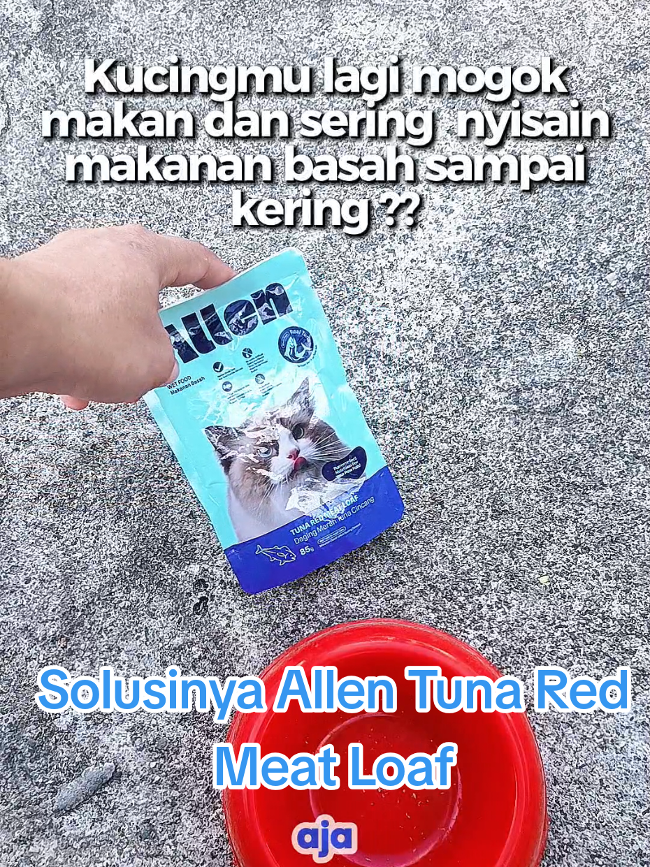 @Medayo Petcare