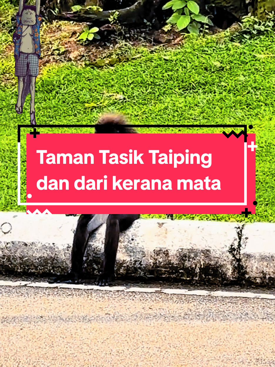 @HotDTaipinghdt